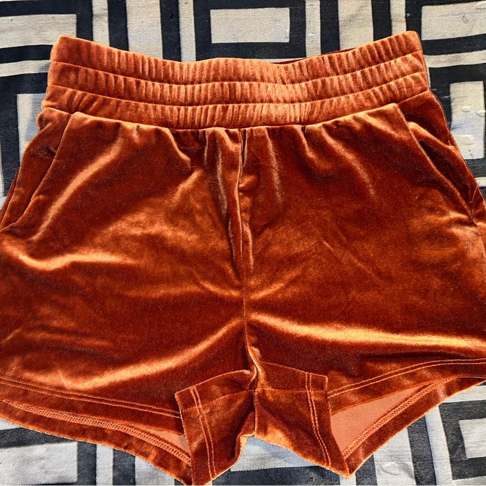 Cute velvet shorts,high waisted,medium,stretchy waistband,flowy/soft material
